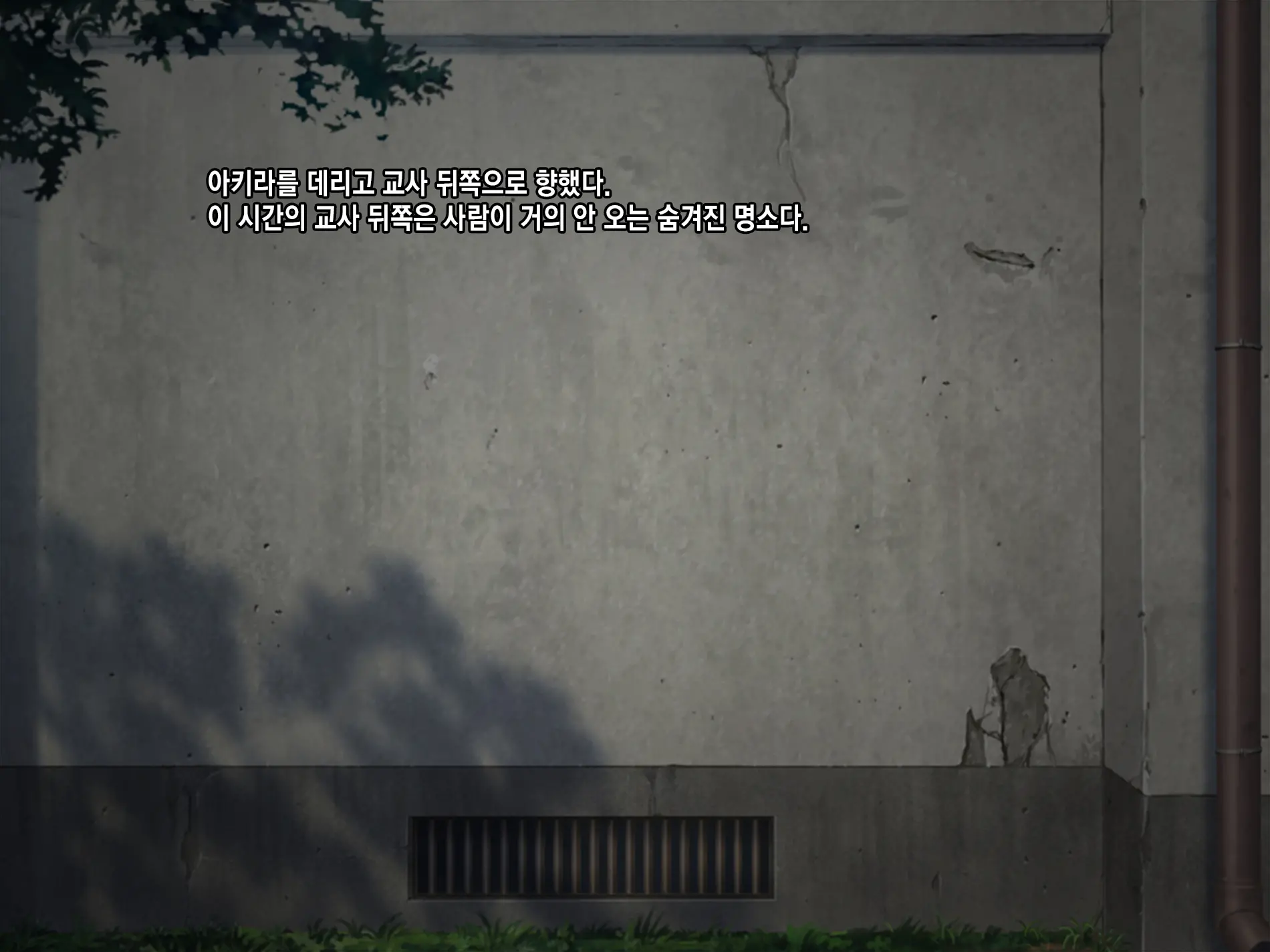 Boyish Rikujou Shoujo Himeno Akira No Honshou ~Gakuen No Ouji-Sama Wa Ore Dake No Dosukebe Ohime-Sama~ | 보이쉬한 육상소녀 히메노 아키라의 본성~학원의 왕자님은 나만의 음란한 공주님~